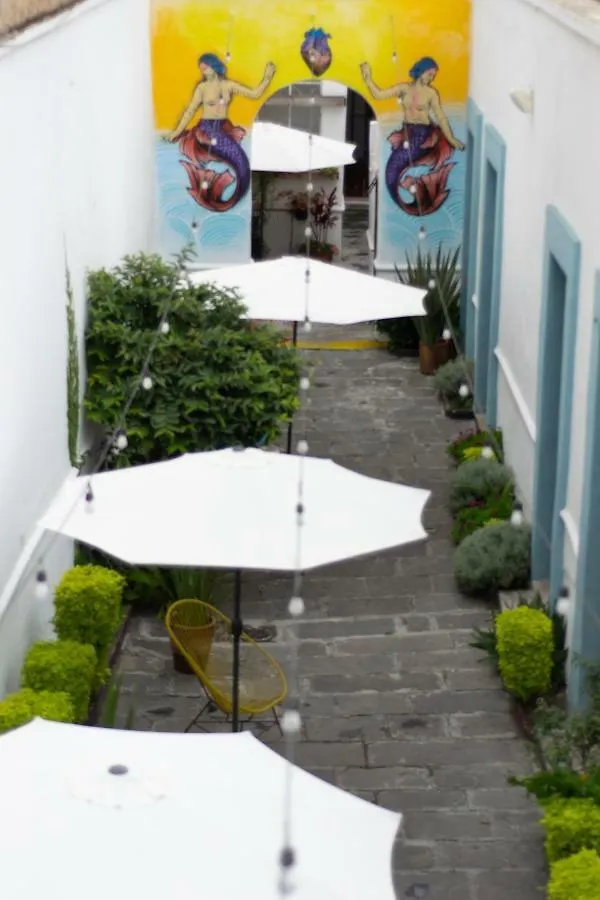 Gente De Mas Bnb Puebla